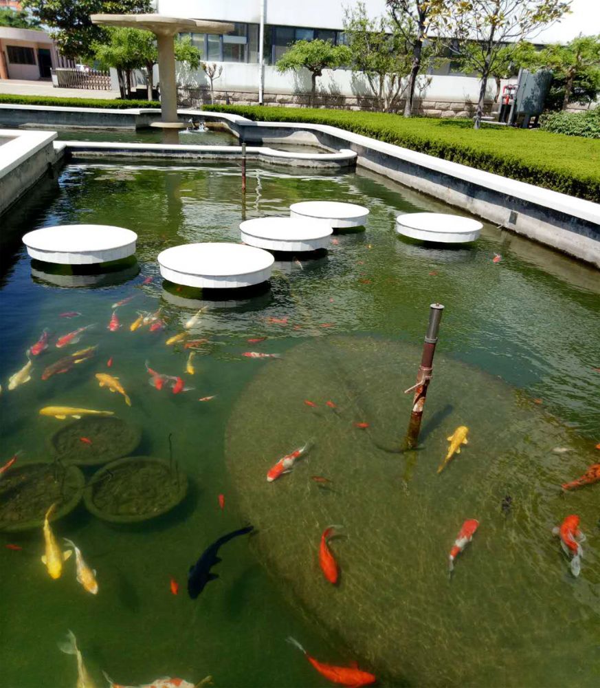 重要公告 :如何分辨假冒產(chǎn)品