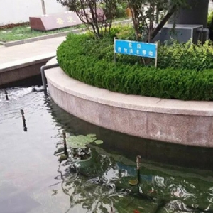 全自動(dòng)過濾消毒系統(tǒng)