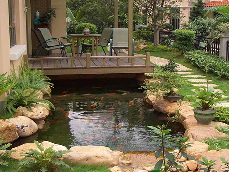 全自動魚池凈化設(shè)備