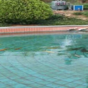 全自動(dòng)過濾消毒系統(tǒng)