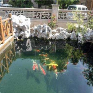 全自動(dòng)魚(yú)池凈化系統(tǒng)