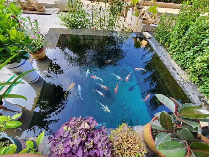 全自動循環(huán)水設(shè)備