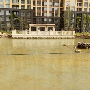 魚(yú)池過(guò)濾器客戶(hù)實(shí)地效果展示